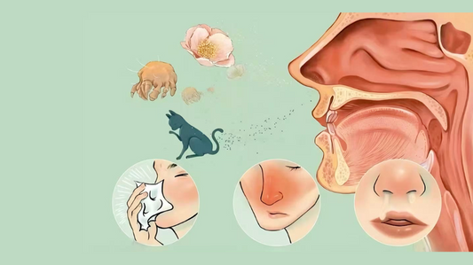 紅光療法對鼻炎的作用