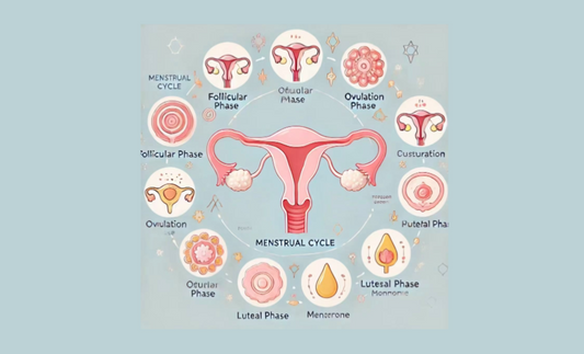 紅光療法對女性健康以及生育的影響