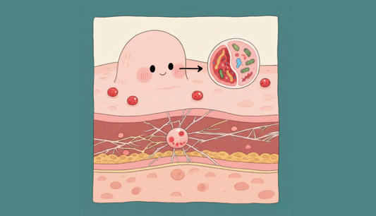 紅光療法對暗瘡的修復機制