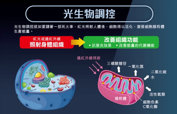 紅光理療儀有副作用嗎？