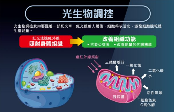 紅光理療儀有副作用嗎？