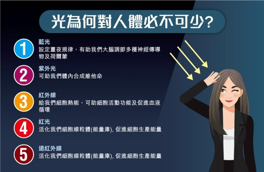 光合作用對於人體的應用